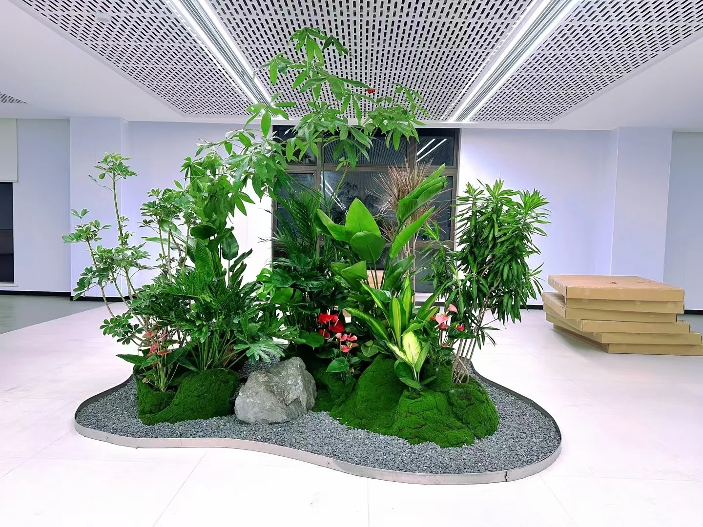 专业植物出租,宁波余姚绿植焕新你的世界