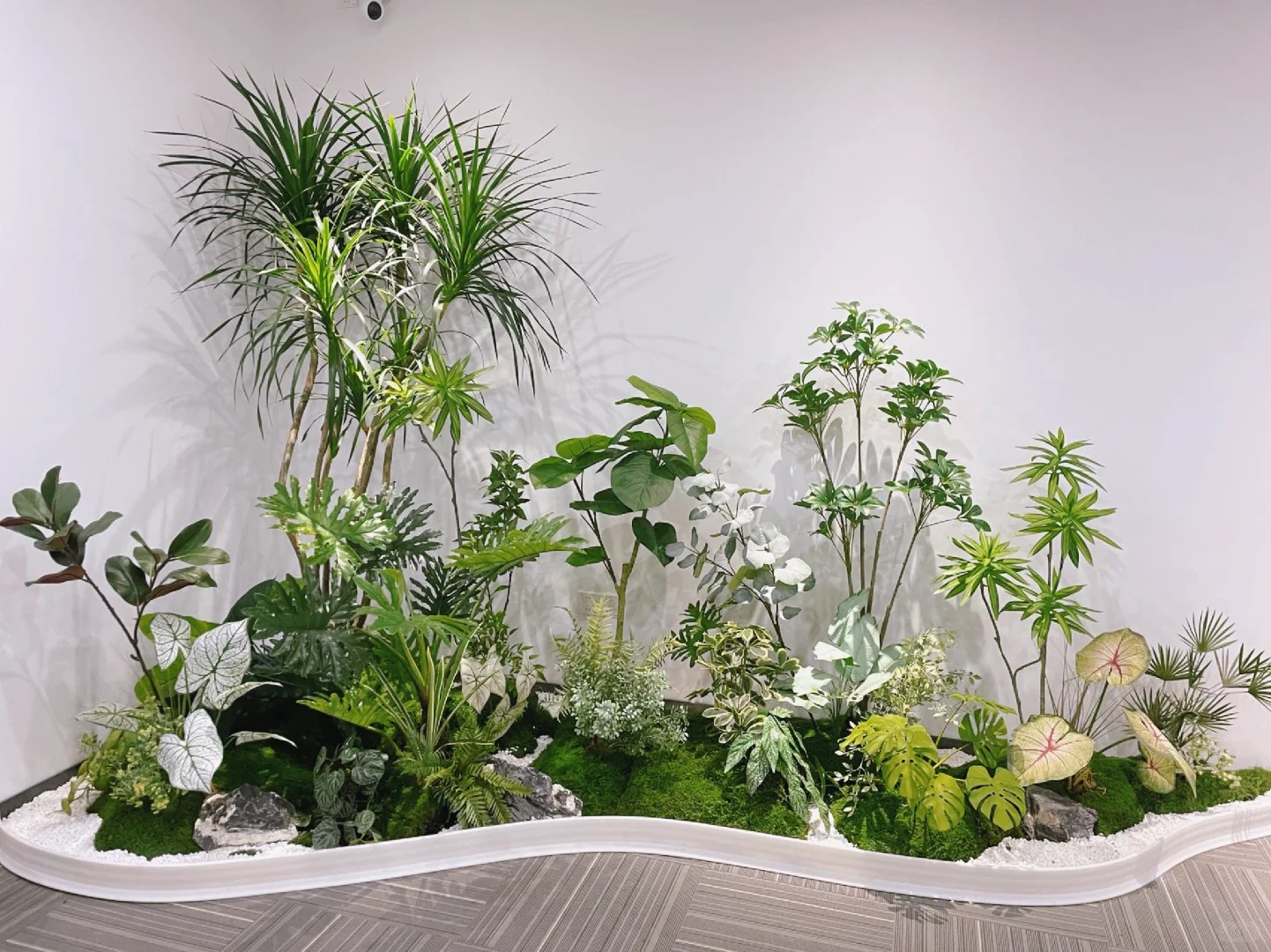 专业植物出租,宁波余姚绿植焕新你的世界